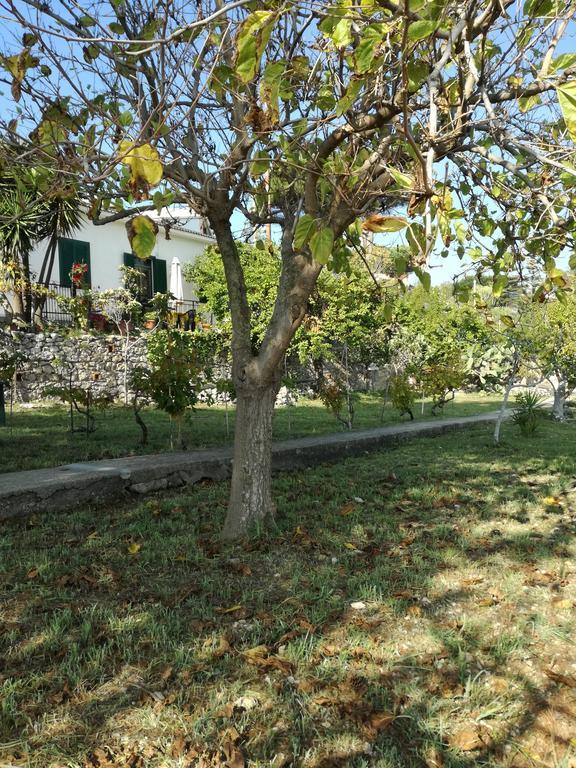 Villa Ninetta-Isabella Gaeta Luaran gambar